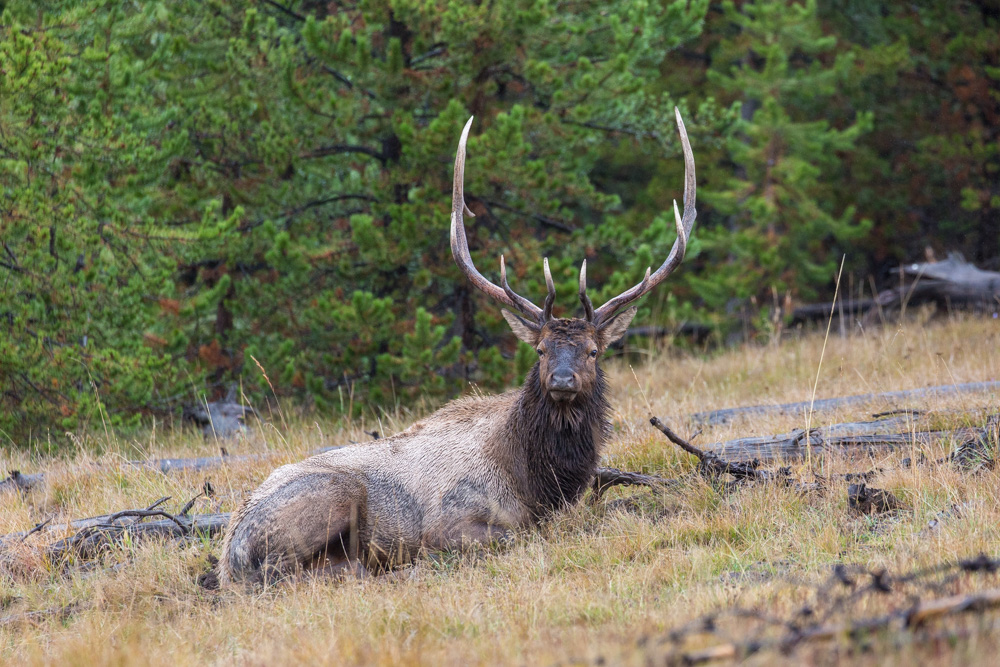 wyoming2019