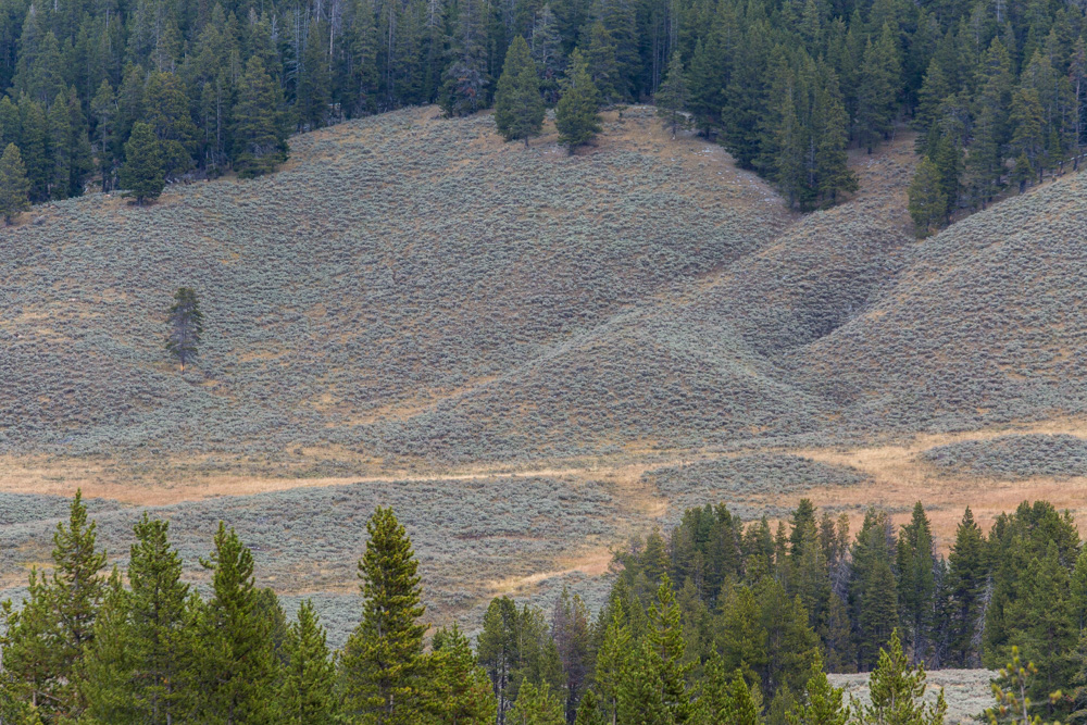 wyoming2019