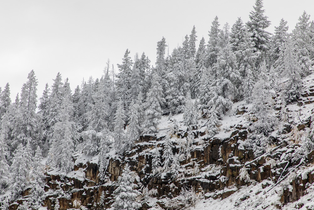 wyoming2019