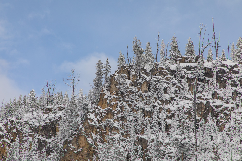 wyoming2019