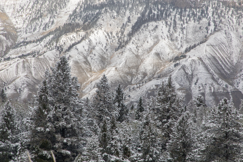 wyoming2019