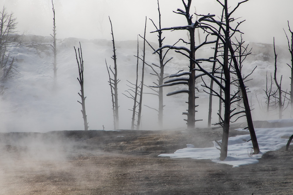wyoming2019
