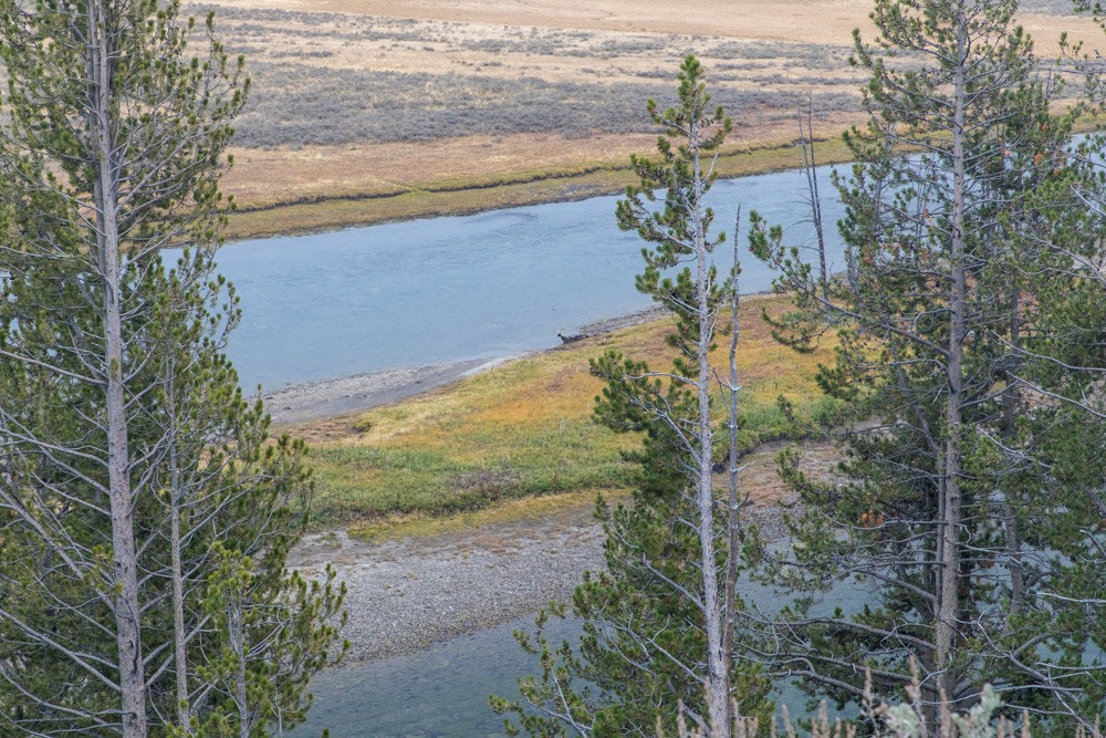 wyoming2019