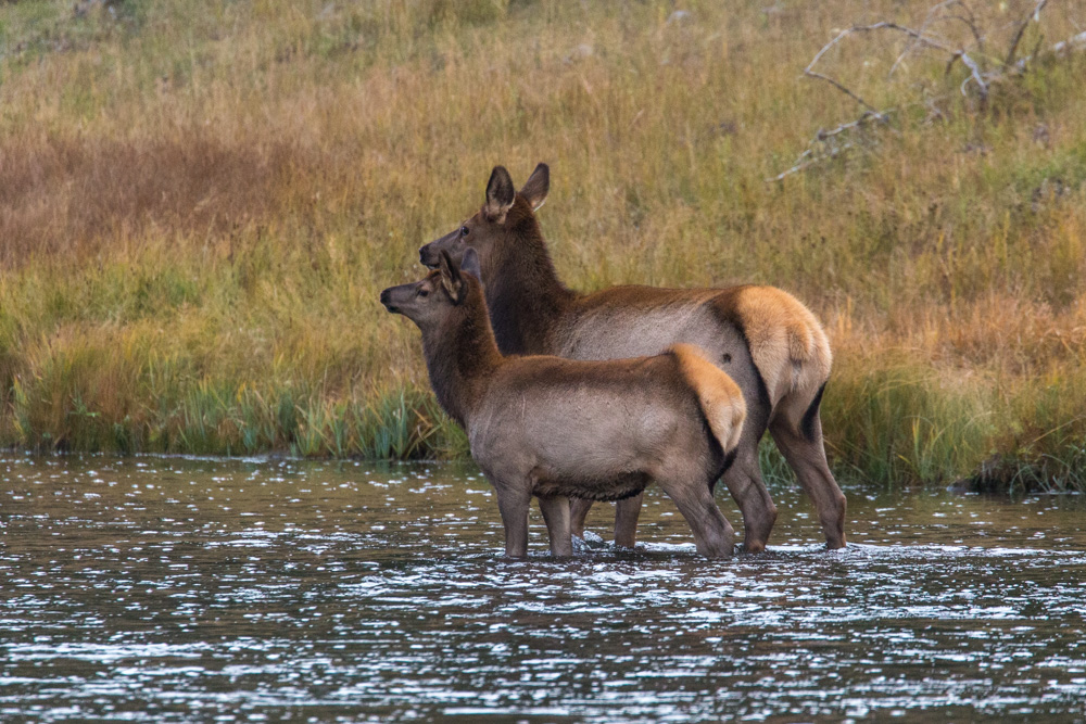 wyoming2019