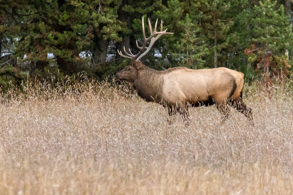 wyoming2019