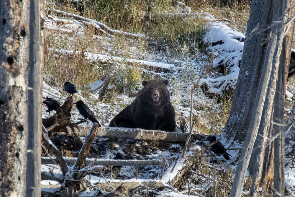 wyoming2019