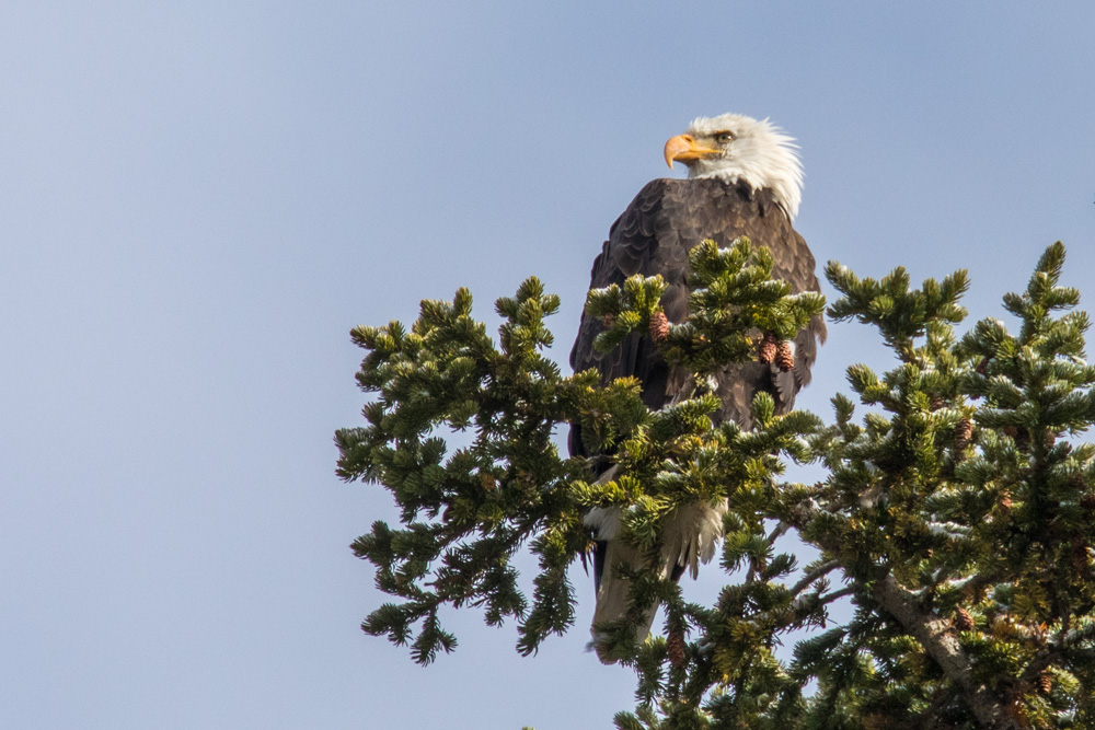 wyoming2019