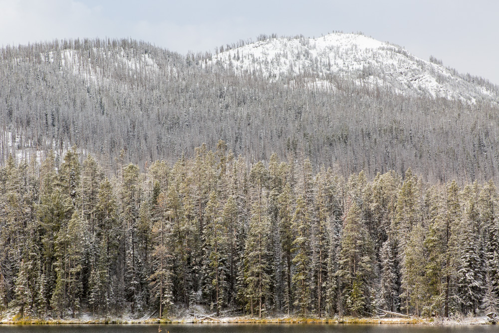 wyoming2019