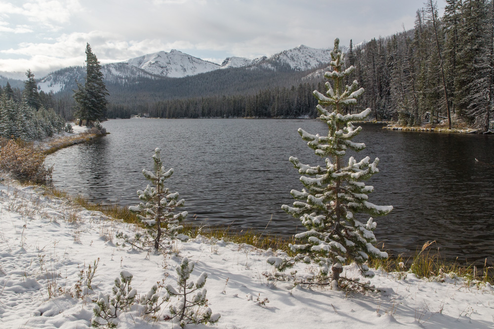 wyoming2019