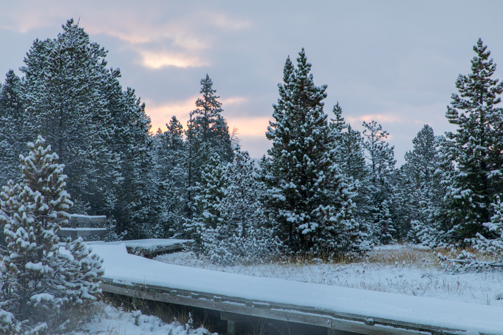 wyoming2019