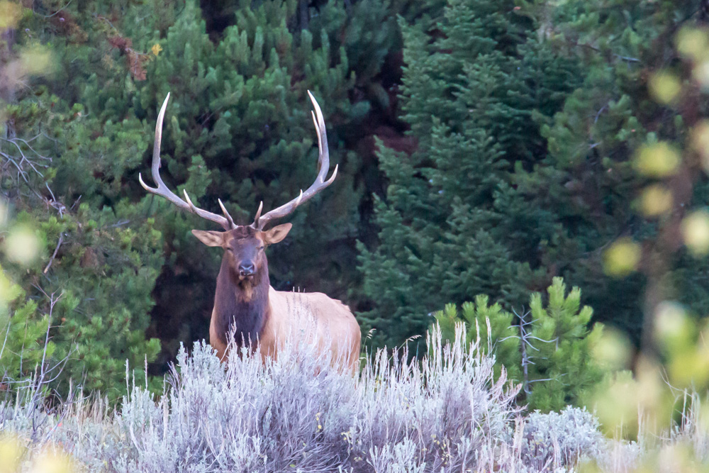wyoming2019