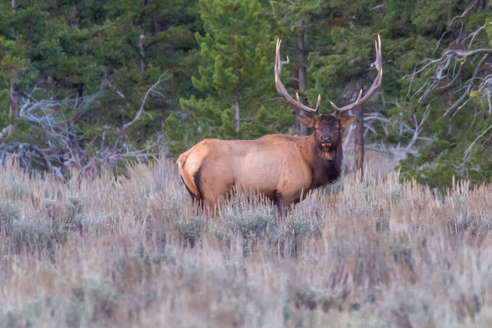wyoming2019