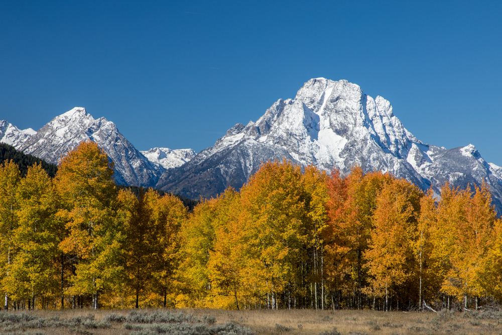 wyoming2019