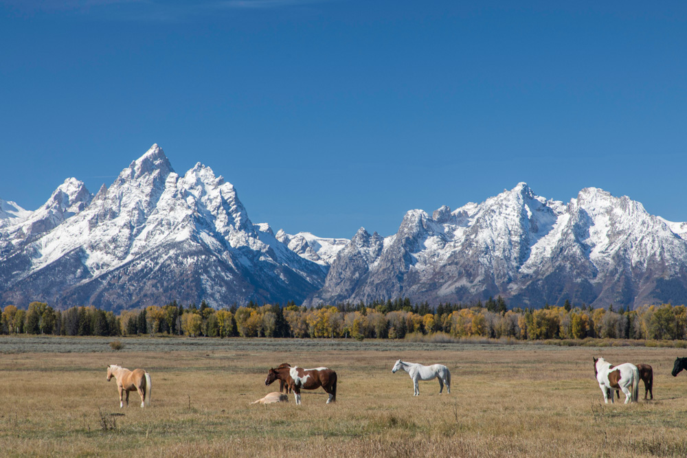 wyoming2019