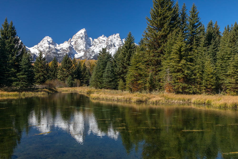 wyoming2019