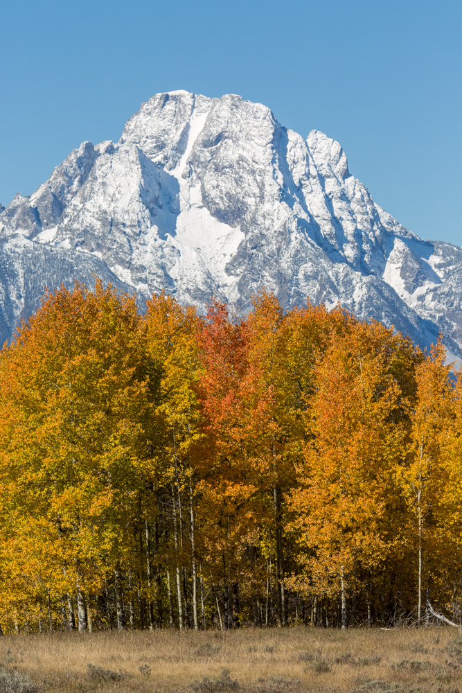 wyoming2019