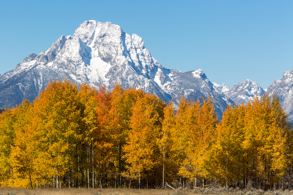 wyoming2019