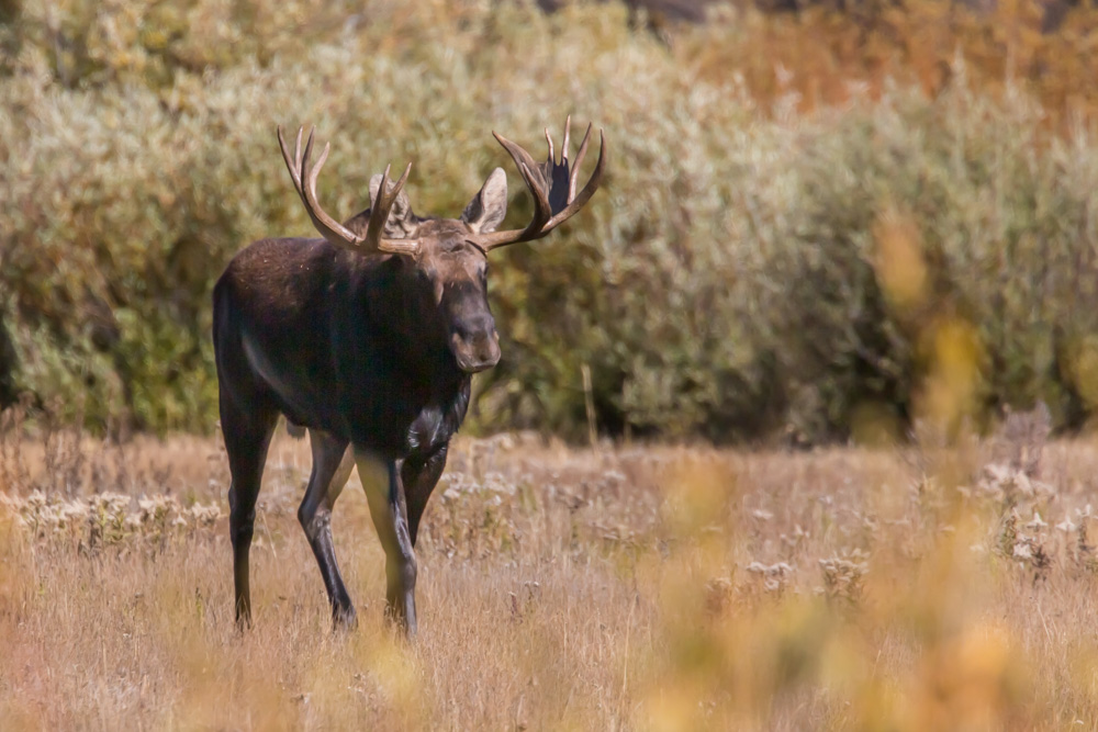 wyoming2019