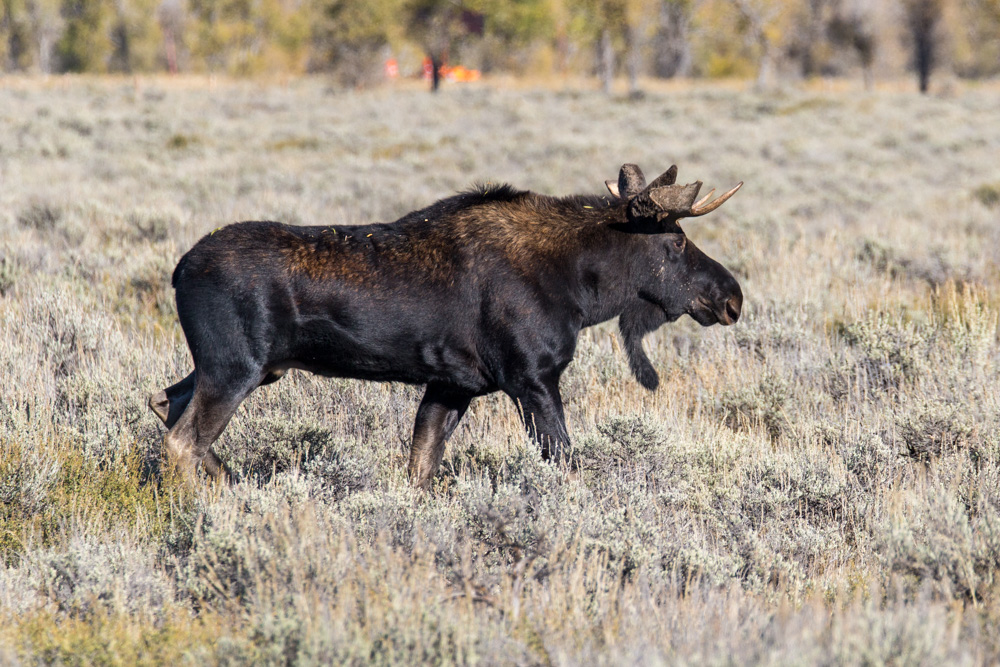 wyoming2019