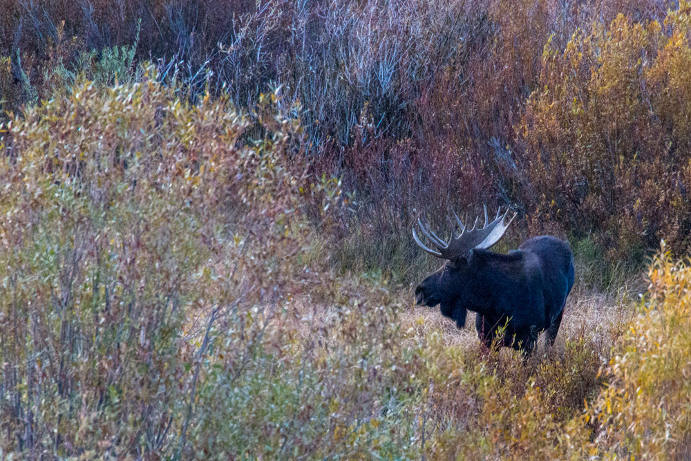 wyoming2019