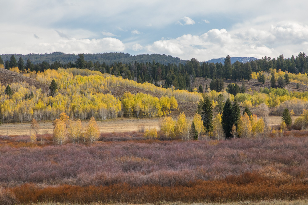 wyoming2019
