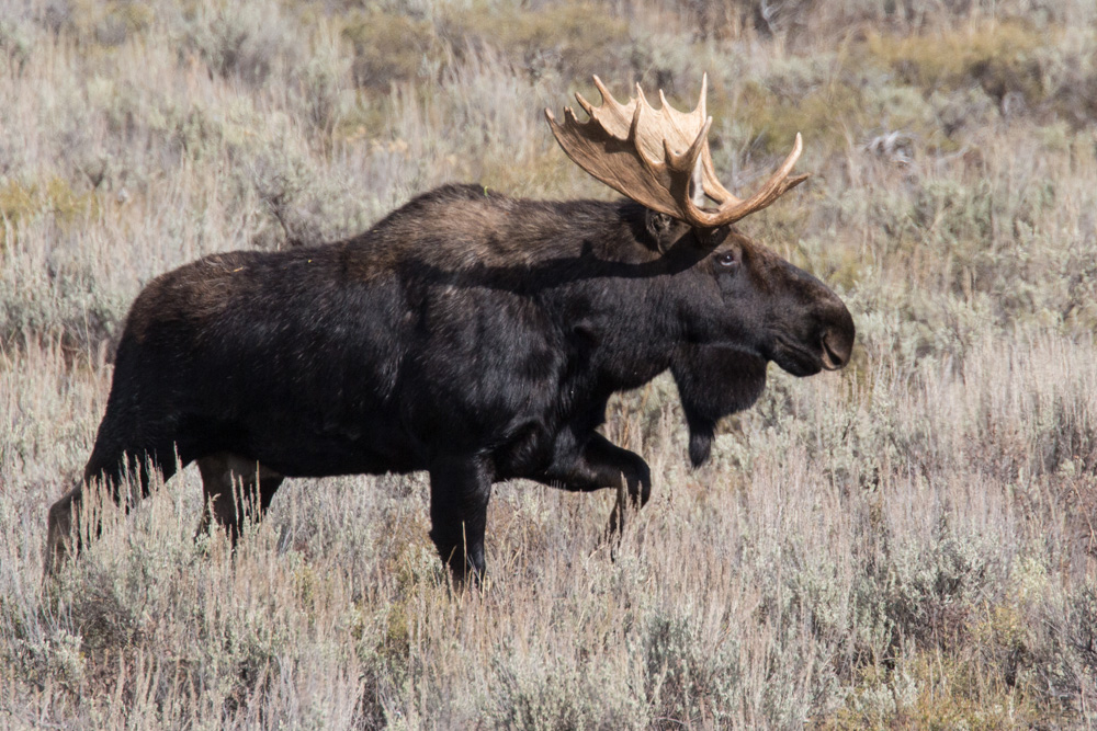 wyoming2019