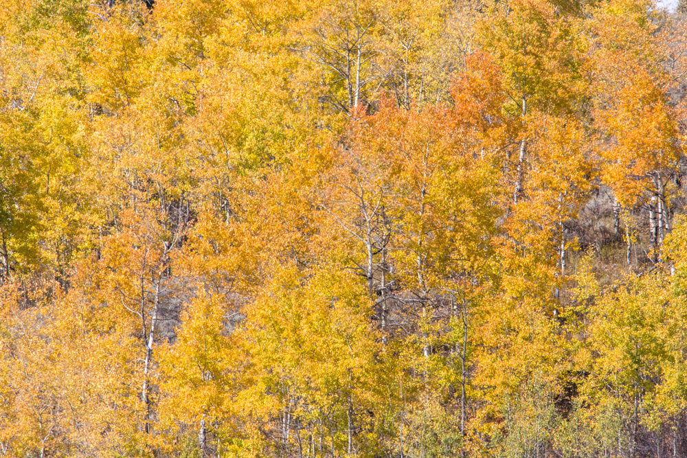 wyoming2019