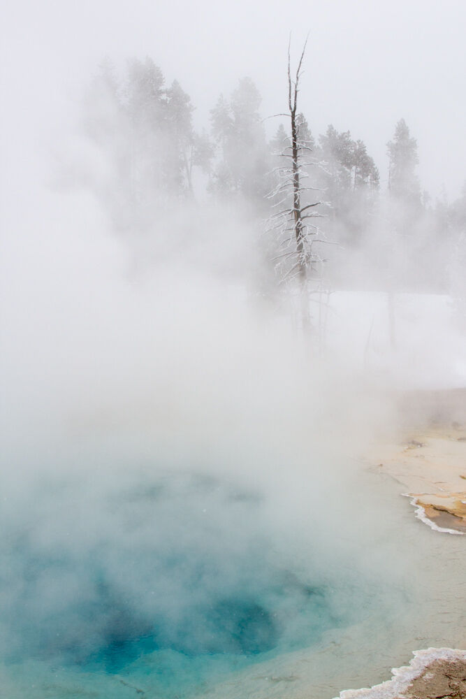 yellowstone2013
