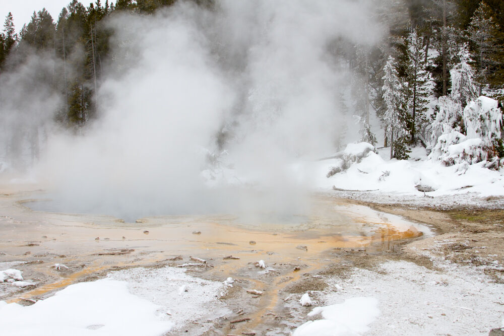 yellowstone2013